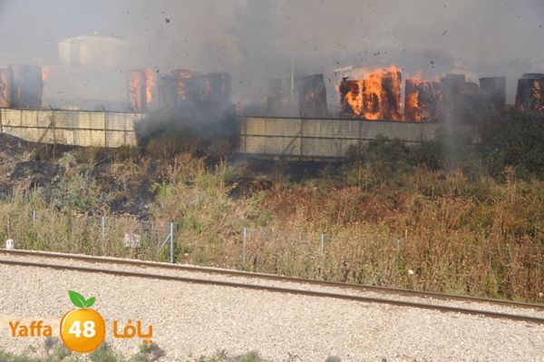 firecartoonsecnd506 (23).JPG